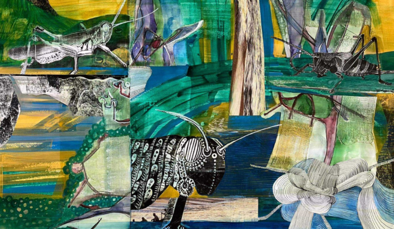 Exhibition „Earth – the Planet of Insects“ by Rita Kaniušaitė-Grikšienė